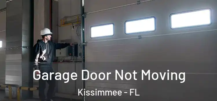  Garage Door Not Moving Kissimmee - FL