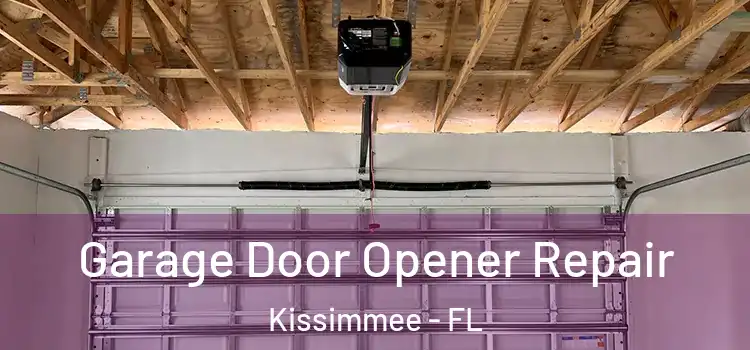  Garage Door Opener Repair Kissimmee - FL