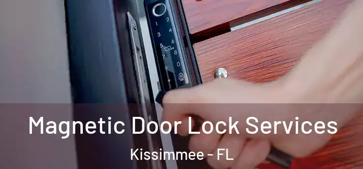 Magnetic Door Lock Services Kissimmee - FL